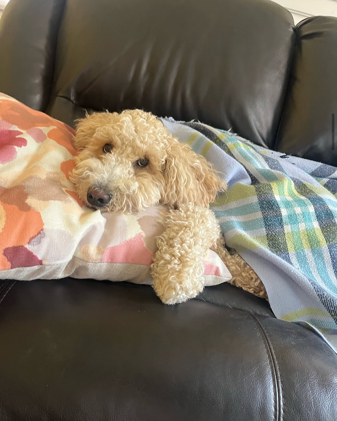 Nithin candid photo 3